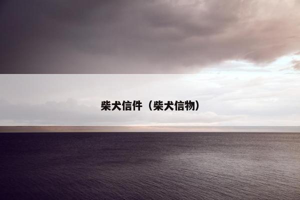 柴犬信件(柴犬信物)