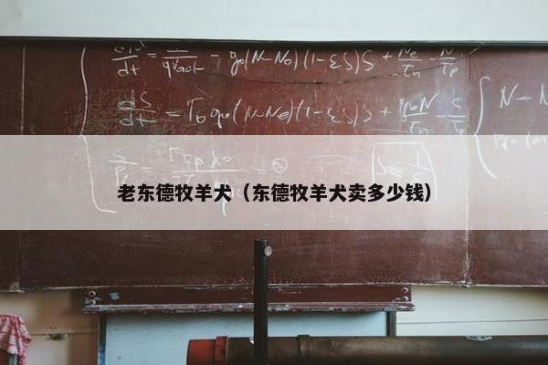 老东德牧羊犬(东德牧羊犬卖多少钱)