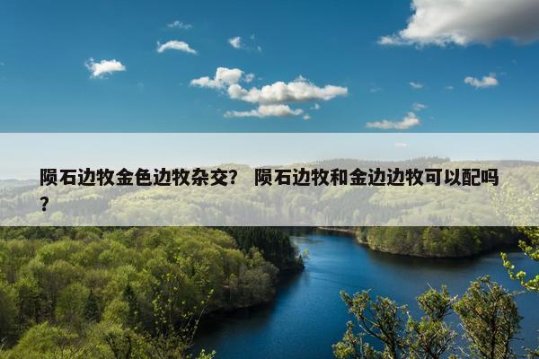 陨石边牧金色边牧杂交？ 陨石边牧和金边边牧可以配吗？