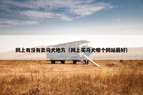网上有没有卖马犬地方（网上买马犬哪个网站最好）