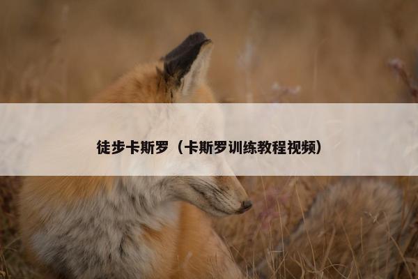 徒步卡斯罗(卡斯罗训练教程视频)