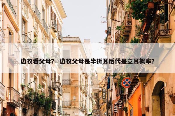 边牧看父母？ 边牧父母是半折耳后代是立耳概率？