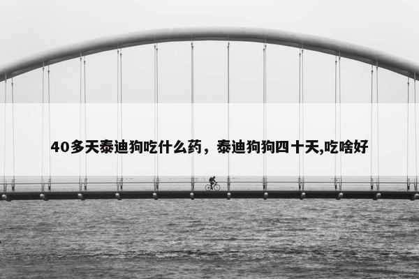 40多天泰迪狗吃什么药,泰迪狗狗四十天,吃啥好