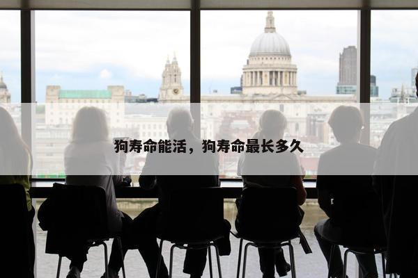 狗寿命能活，狗寿命最长多久