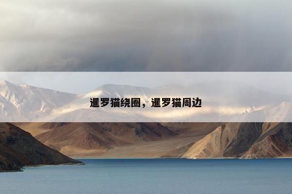 暹罗猫绕圈，暹罗猫周边