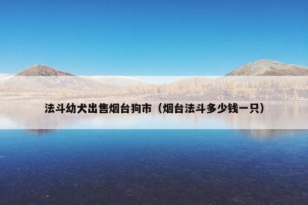 法斗幼犬出售烟台狗市（烟台法斗多少钱一只）
