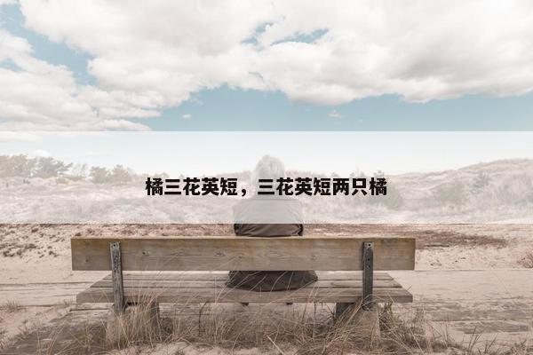 橘三花英短,三花英短两只橘