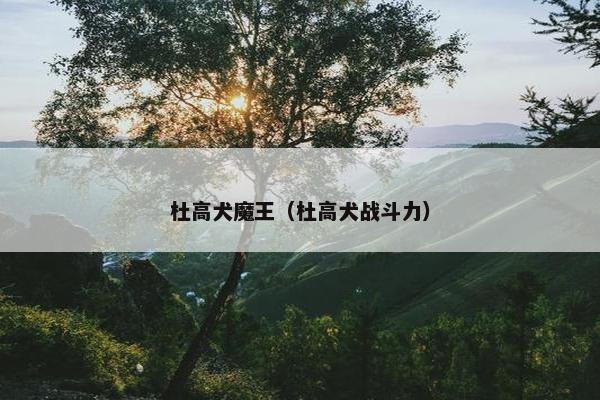 杜高犬魔王(杜高犬战斗力)