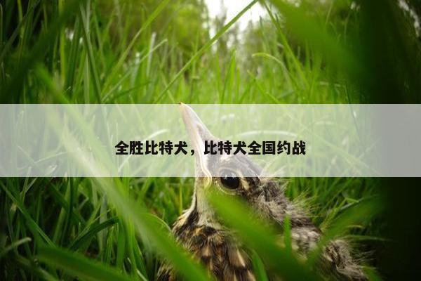 食物链