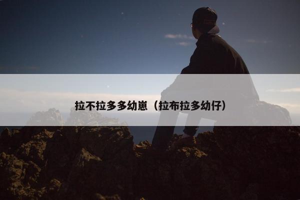 拉不拉多多幼崽（拉布拉多幼仔）