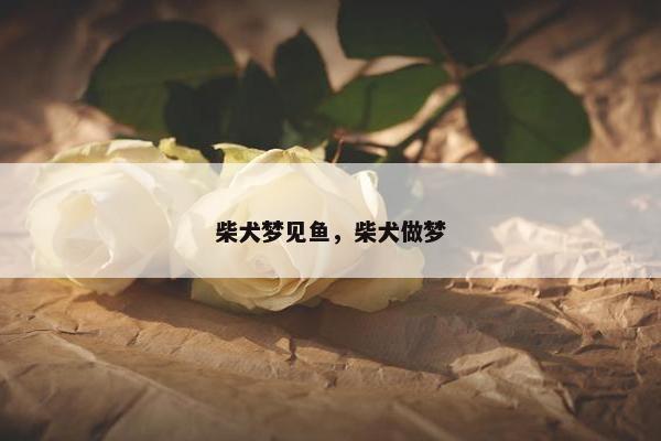 可爱 第9页