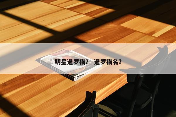 明星暹罗猫？ 暹罗猫名？