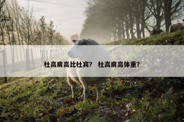 杜高肩高比杜宾？ 杜高肩高体重？
