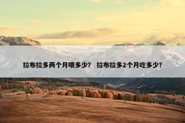 拉布拉多两个月喂多少？ 拉布拉多2个月吃多少？