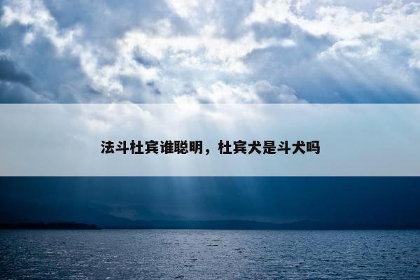 法斗杜宾谁聪明，杜宾犬是斗犬吗