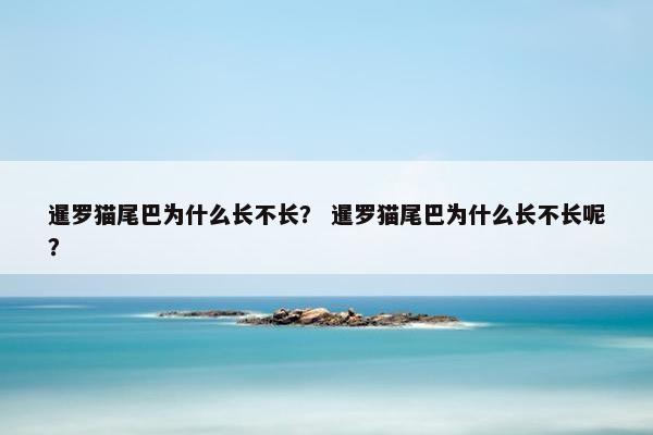 暹罗猫尾巴为什么长不长？ 暹罗猫尾巴为什么长不长呢？