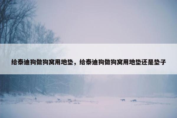 给泰迪狗做狗窝用地垫，给泰迪狗做狗窝用地垫还是垫子