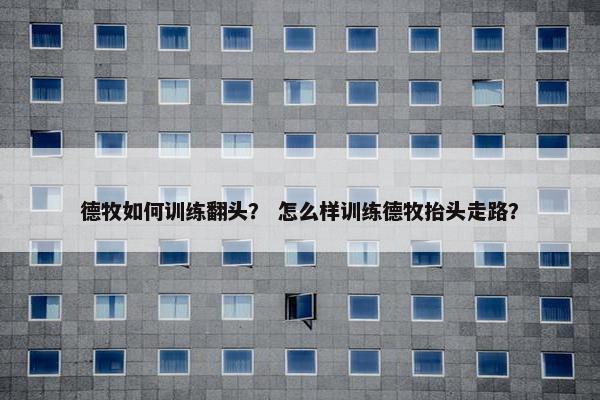 德牧如何训练翻头？ 怎么样训练德牧抬头走路？