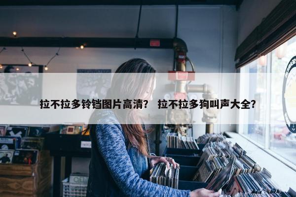 拉不拉多铃铛图片高清？ 拉不拉多狗叫声大全？