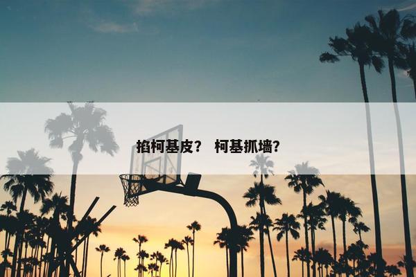 掐柯基皮? 柯基抓墙?