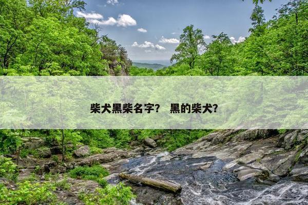 柴犬黑柴名字？ 黑的柴犬？