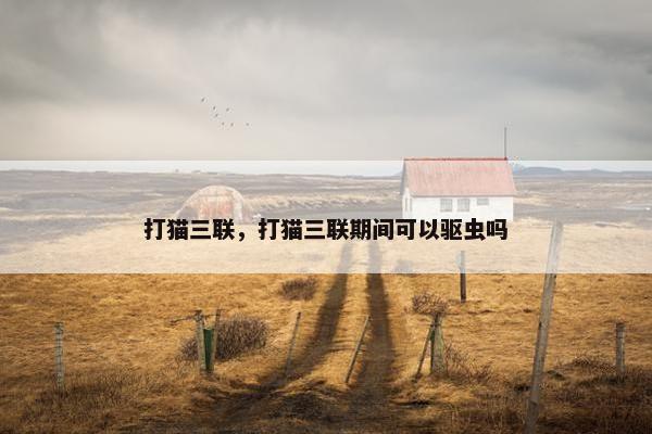 打猫三联，打猫三联期间可以驱虫吗