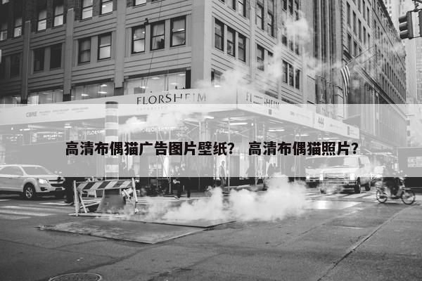高清布偶猫广告图片壁纸？ 高清布偶猫照片？