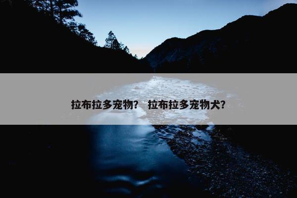 拉布拉多宠物？ 拉布拉多宠物犬？