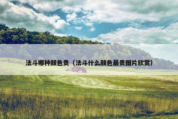 法斗哪种颜色贵（法斗什么颜色最贵图片欣赏）
