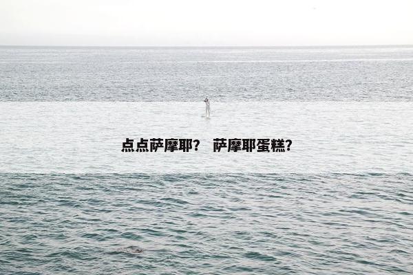 点点萨摩耶？ 萨摩耶蛋糕？