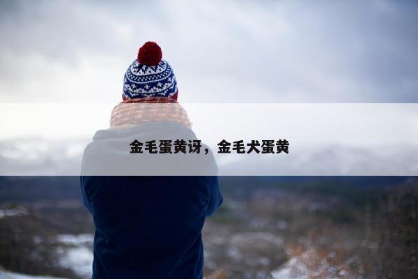 金毛蛋黄讶，金毛犬蛋黄