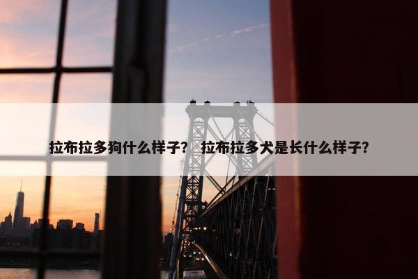 尾巴 第17页