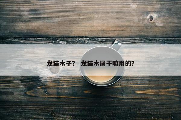 龙猫木子？ 龙猫木屑干嘛用的？