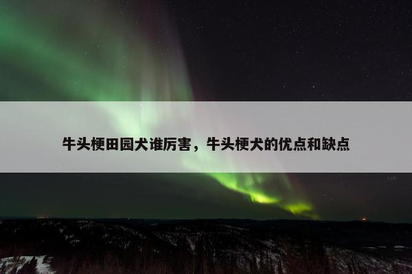 牛头梗田园犬谁厉害，牛头梗犬的优点和缺点