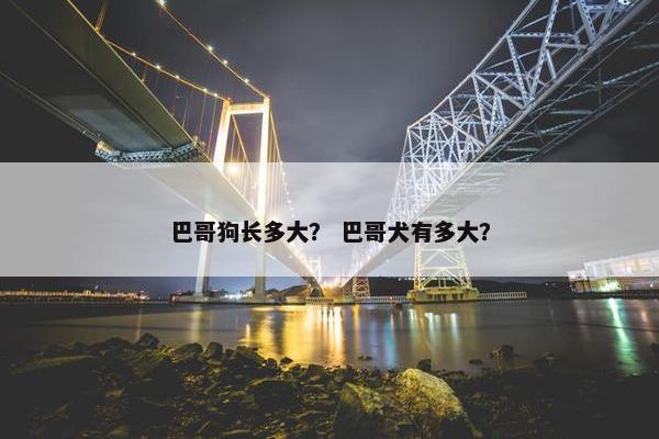 巴哥狗长多大？ 巴哥犬有多大？