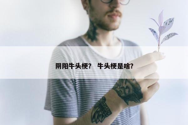 阴阳牛头梗？ 牛头梗是啥？