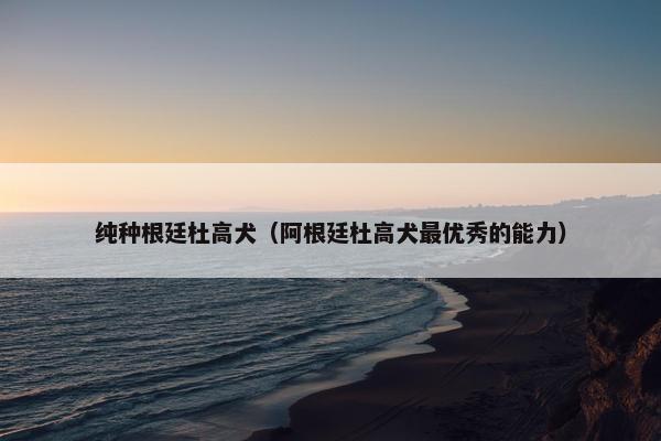 纯种根廷杜高犬（阿根廷杜高犬最优秀的能力）