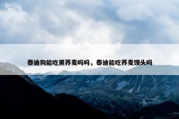 泰迪狗能吃黑荞麦吗吗，泰迪能吃荞麦馒头吗