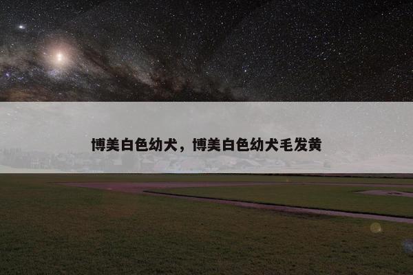 博美白色幼犬，博美白色幼犬毛发黄