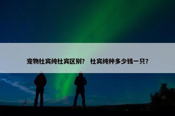 宠物杜宾纯杜宾区别？ 杜宾纯种多少钱一只？
