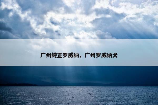 广州纯正罗威纳，广州罗威纳犬