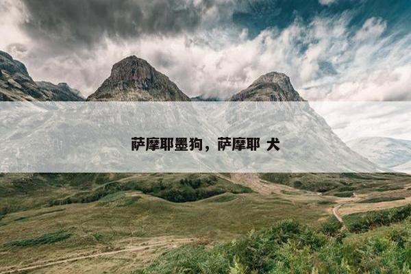 萨摩耶墨狗，萨摩耶 犬