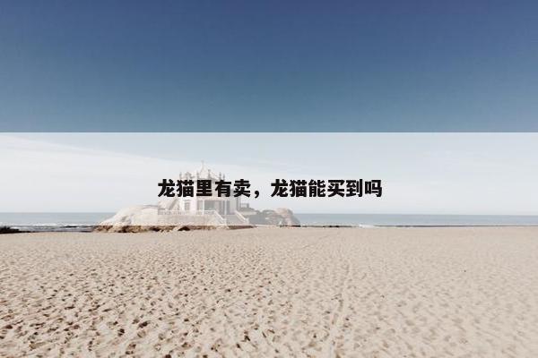龙猫里有卖，龙猫能买到吗