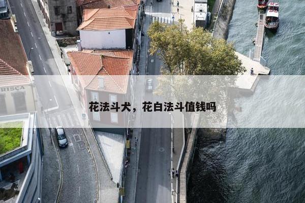 花法斗犬，花白法斗值钱吗