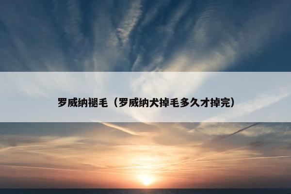 罗威纳褪毛（罗威纳犬掉毛多久才掉完）