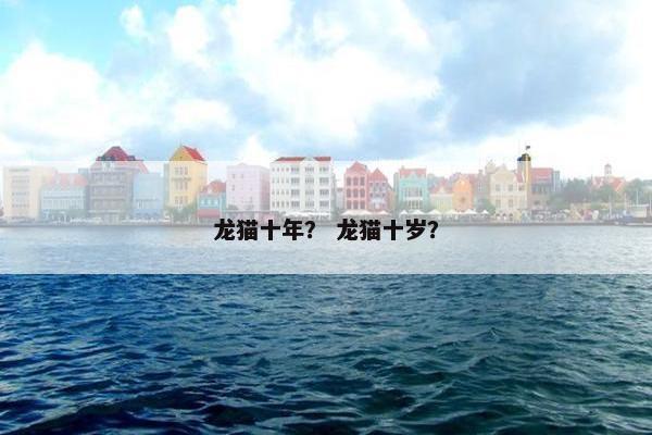 龙猫十年？ 龙猫十岁？