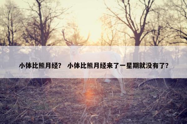 小体比熊月经？ 小体比熊月经来了一星期就没有了？