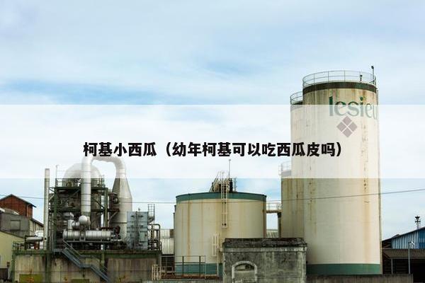 柯基小西瓜（幼年柯基可以吃西瓜皮吗）