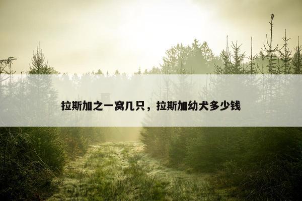 拉斯加之一窝几只，拉斯加幼犬多少钱
