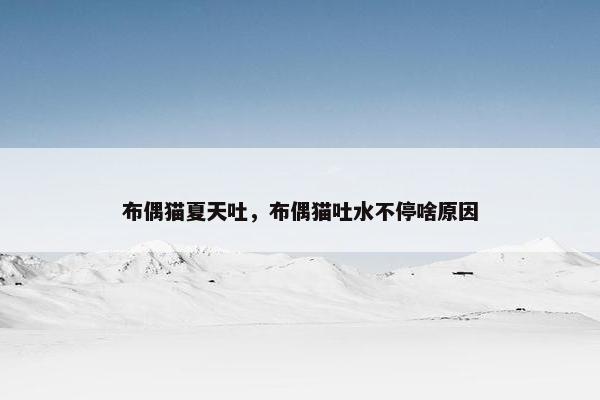 布偶猫夏天吐，布偶猫吐水不停啥原因